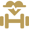 Wellness-Fitness-Center